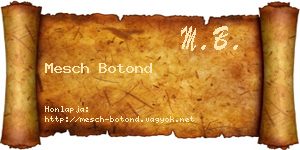 Mesch Botond névjegykártya